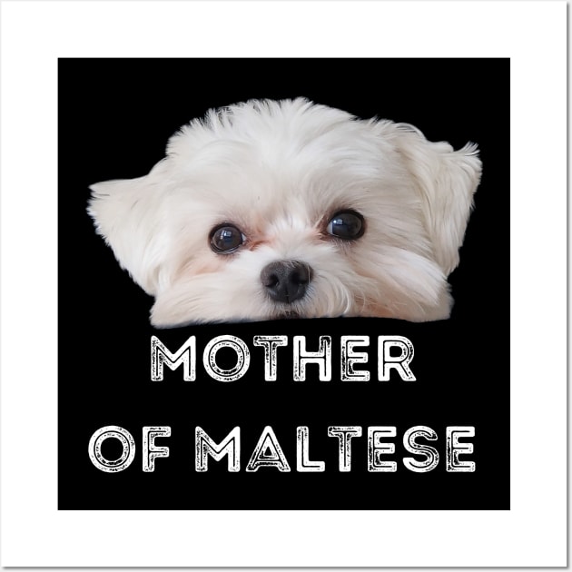 Mothers of Maltese T-Shirt a great gift for anyone who loves their maltese Wall Art by jachu23_pl